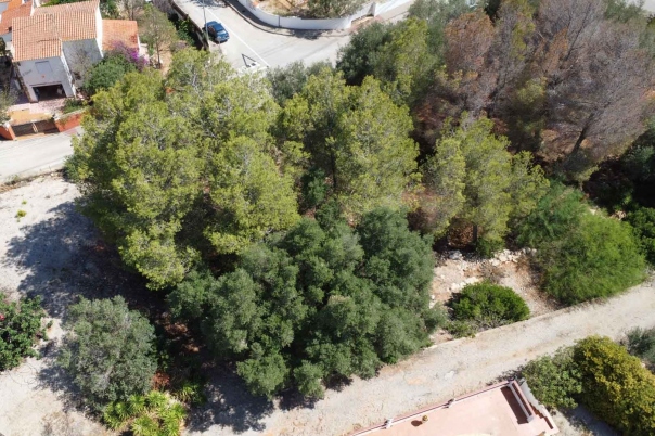 plot in Denia
