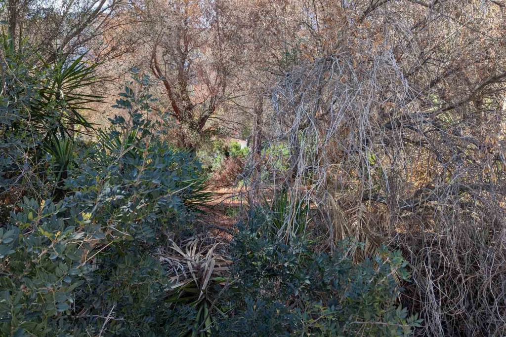 plot in Denia