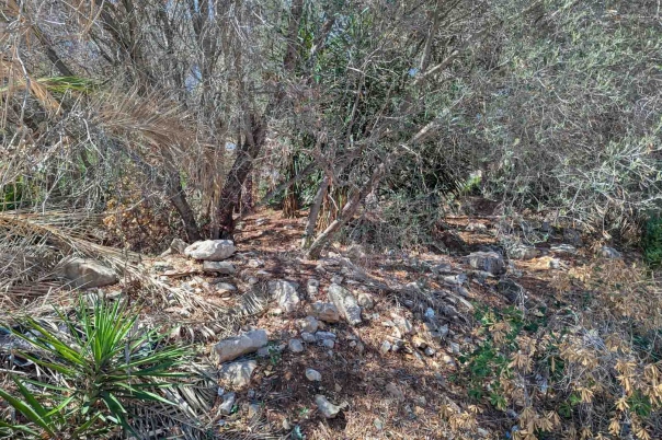 plot in Denia