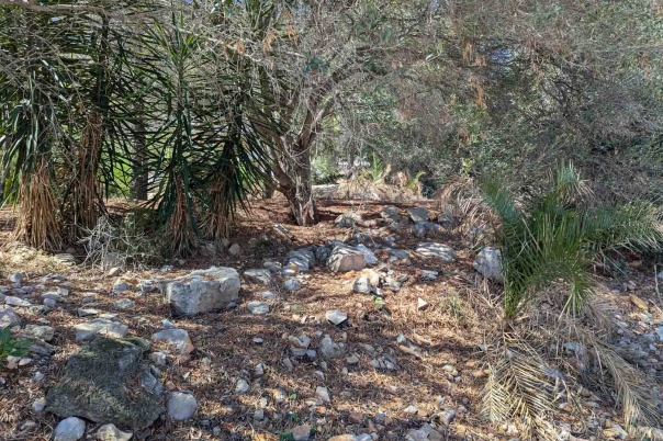 plot in Denia
