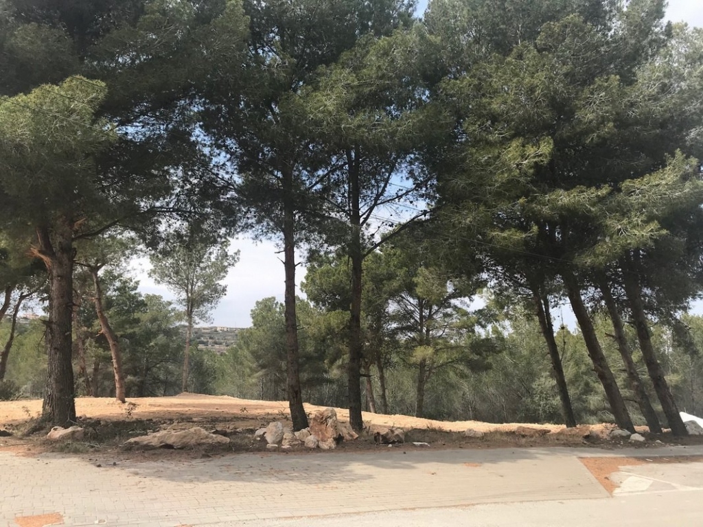 plot in Moraira