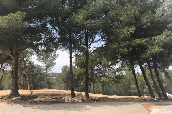 plot in Moraira