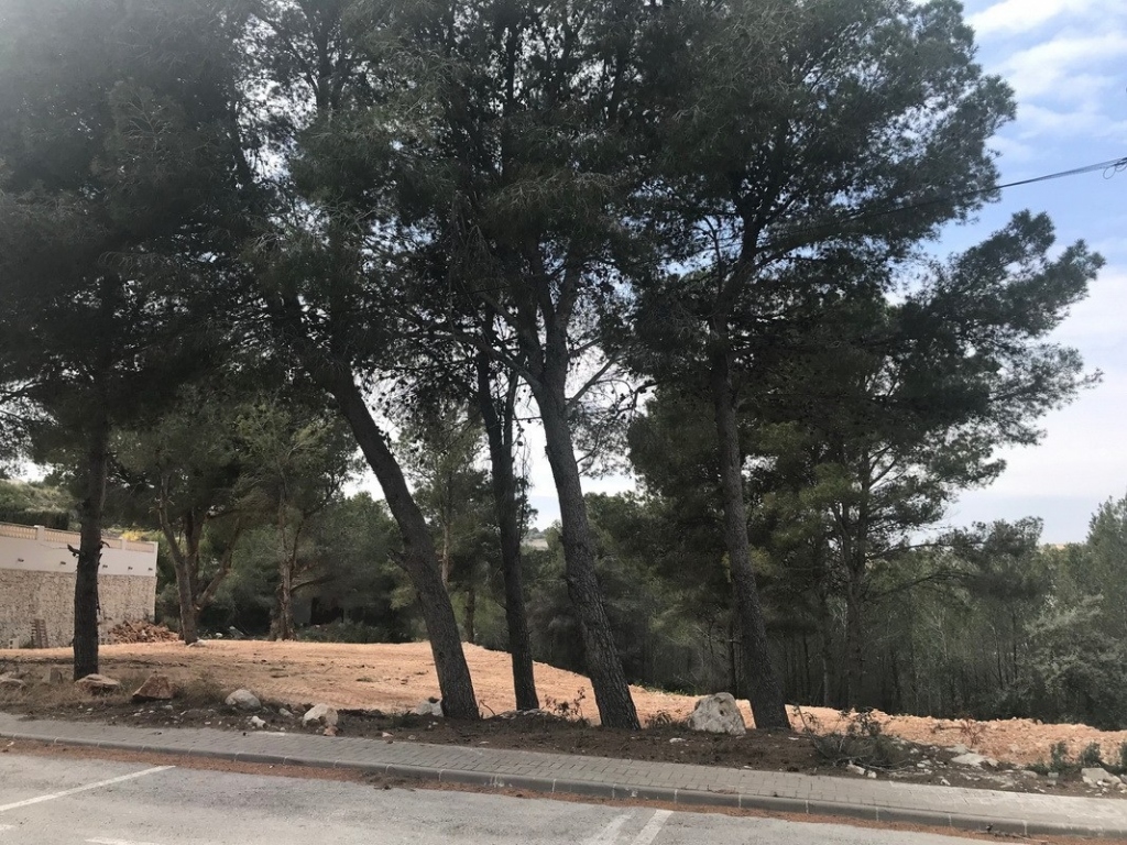 plot in Moraira
