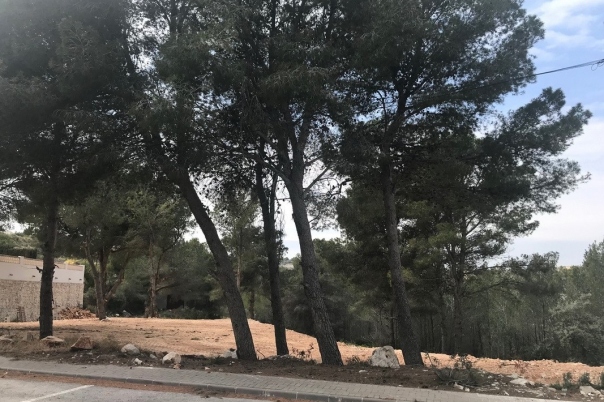plot in Moraira