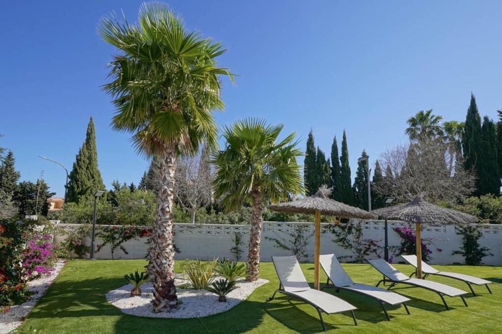2 bed apartment in Denia