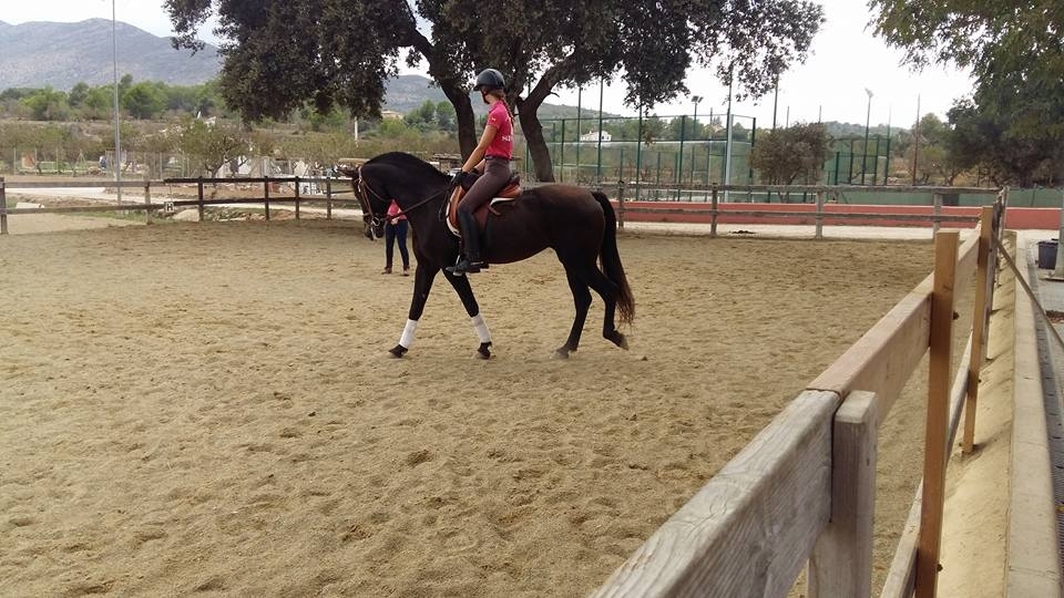 Club Hipico Benissa - Costa Blanca Horse Riding Club