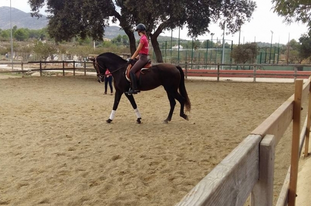 Club Hipico Benissa - Costa Blanca Horse Riding Club