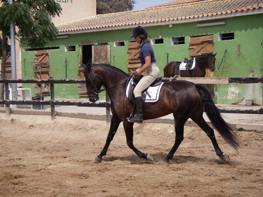 Club Hipico Benissa - Costa Blanca Horse Riding Club