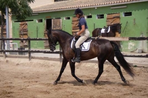 Club Hipico Benissa - Costa Blanca Horse Riding Club