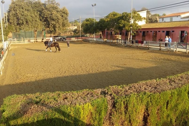 Club Hipico Benissa - Costa Blanca Horse Riding Club