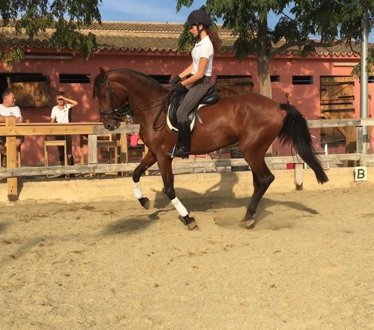 Club Hipico Benissa - Costa Blanca Horse Riding Club