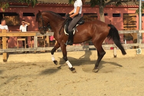 Club Hipico Benissa - Costa Blanca Horse Riding Club
