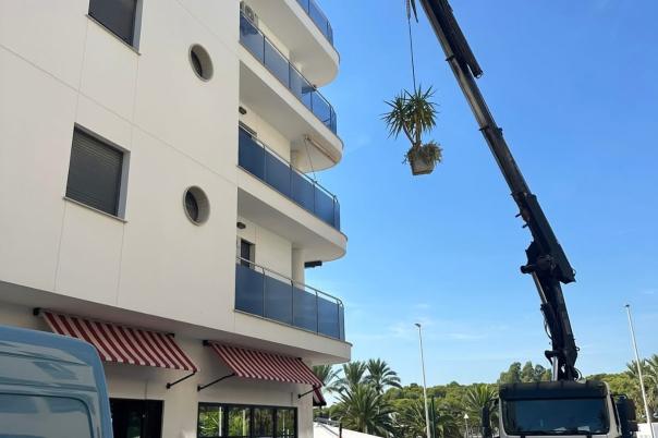Silverfox Removals Moraira - Removal Company Costa Blanca - Spain