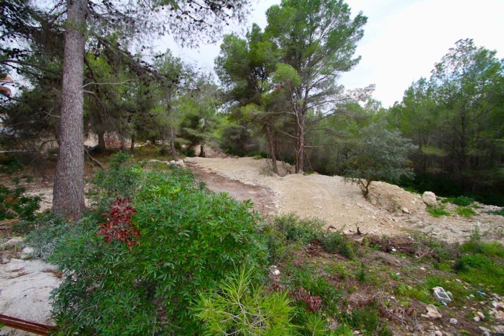 plot in Benissa