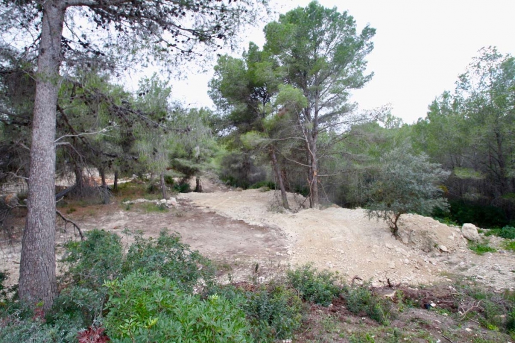 plot in Benissa