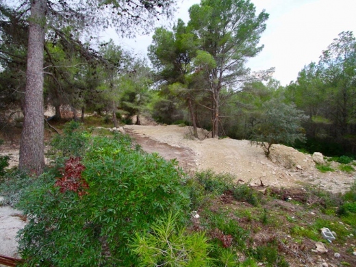 plot in Benissa