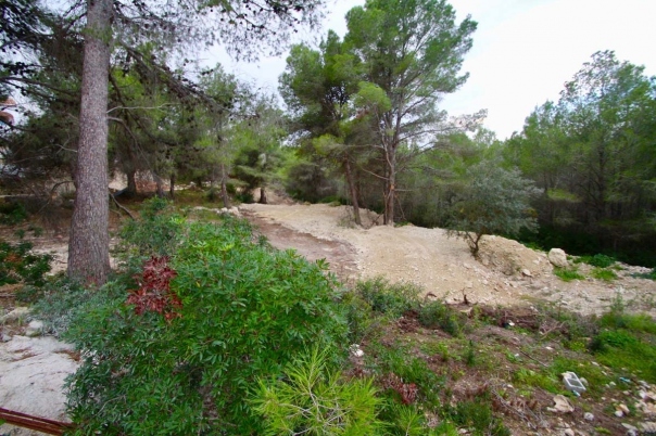 plot in Benissa