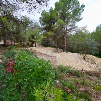 plot in Benissa