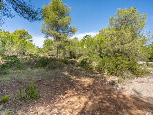 plot in Jávea