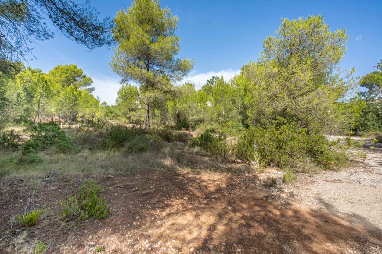 plot in Jávea