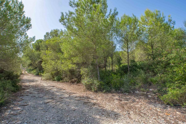 plot in Jávea
