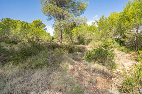 plot in Jávea
