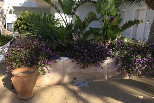 2 bed apartment in Benissa