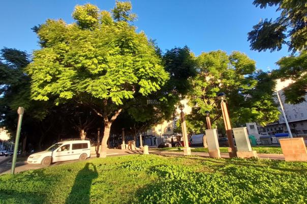 2 bed duplex apartment in Elche/Elx