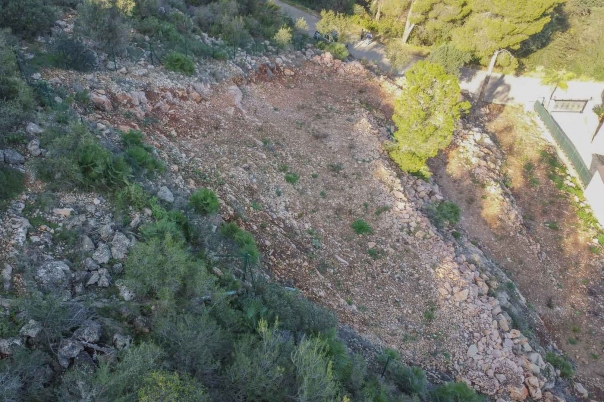 plot in Pego