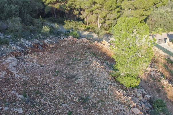plot in Pego