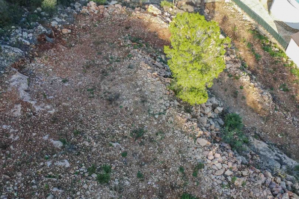 plot in Pego