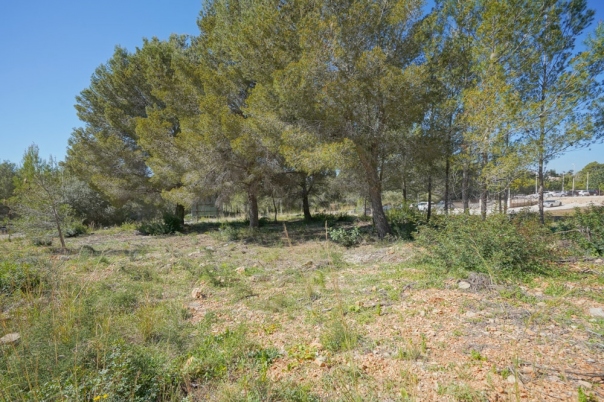 plot in Jávea