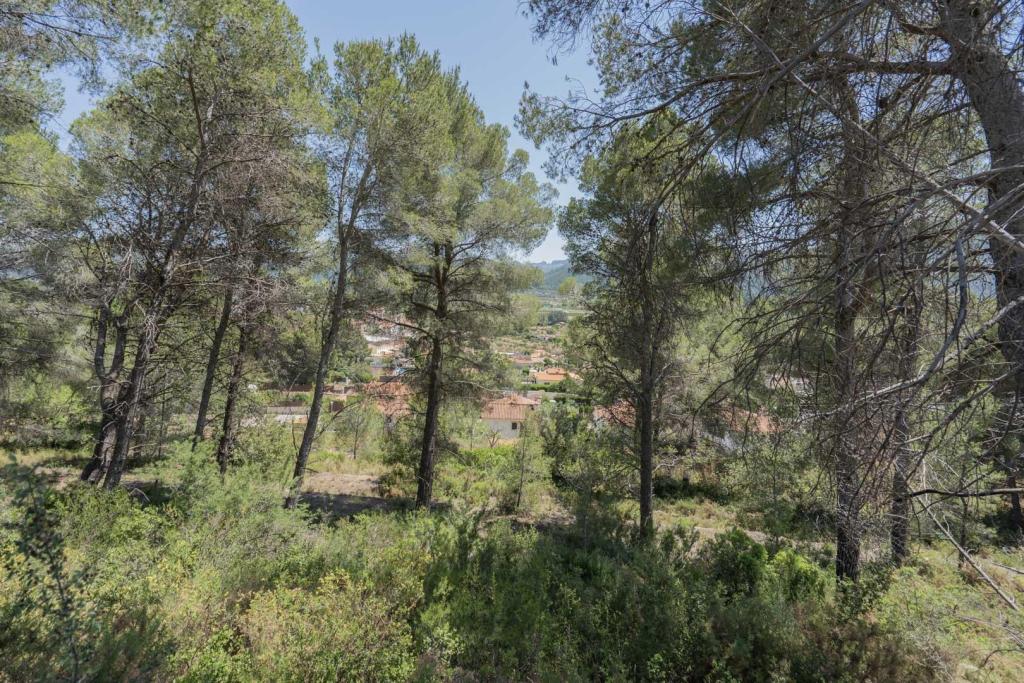 3 bed villa in Alcalalí