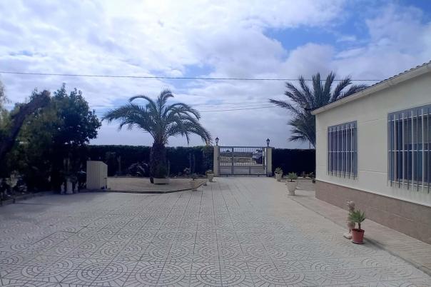 5 bed apartment in Elche/Elx