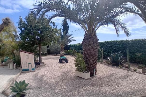 5 bed apartment in Elche/Elx