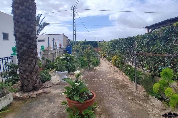 5 bed apartment in Elche/Elx