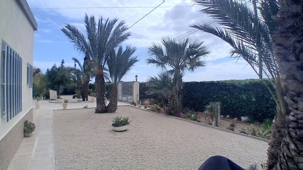 5 bed apartment in Elche/Elx