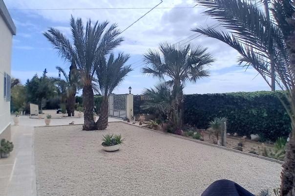 5 bed apartment in Elche/Elx