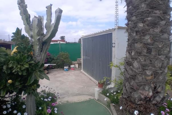 5 bed apartment in Elche/Elx