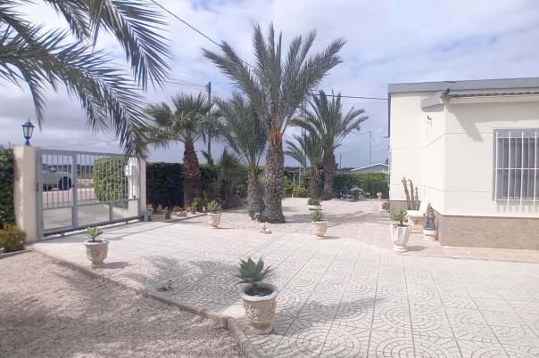 5 bed apartment in Elche/Elx