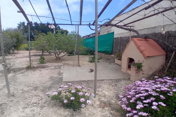 5 bed apartment in Elche/Elx