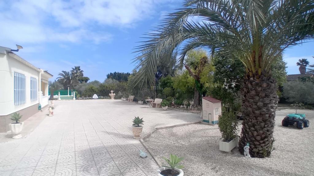 5 bed apartment in Elche/Elx