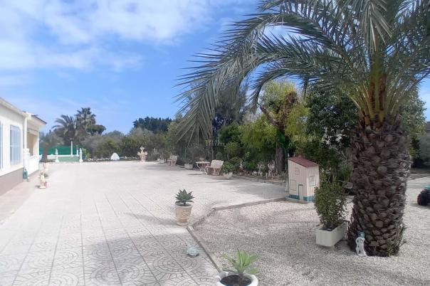 5 bed apartment in Elche/Elx