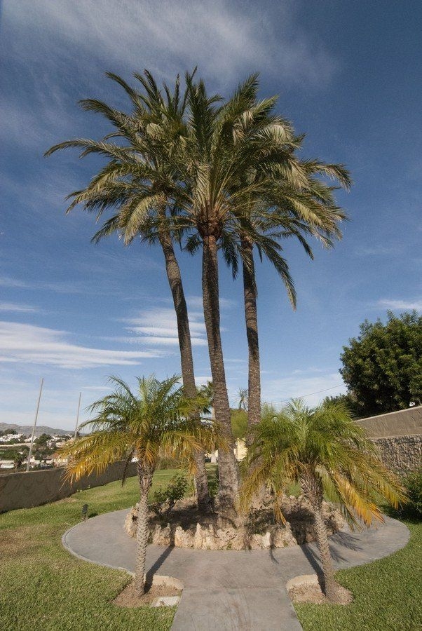 8 bed villa de lujo in Benissa