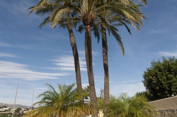 8 bed villa de lujo in Benissa