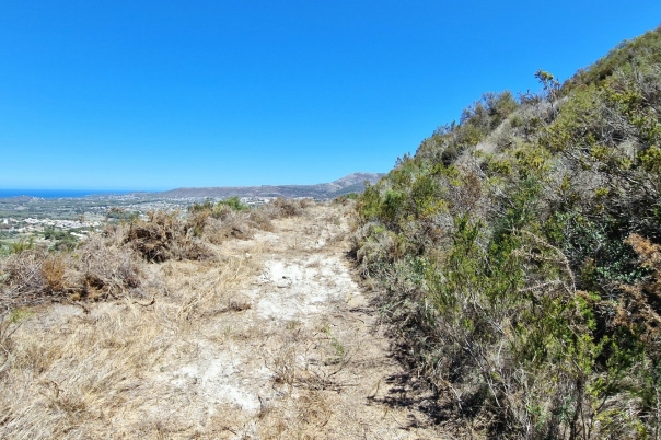 plot in Teulada