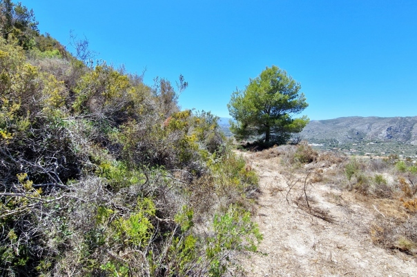 plot in Teulada
