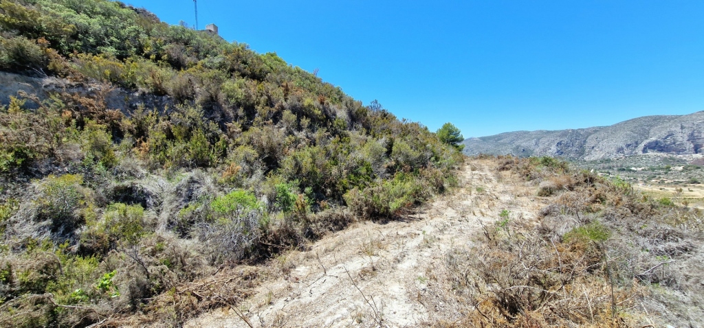 plot in Teulada