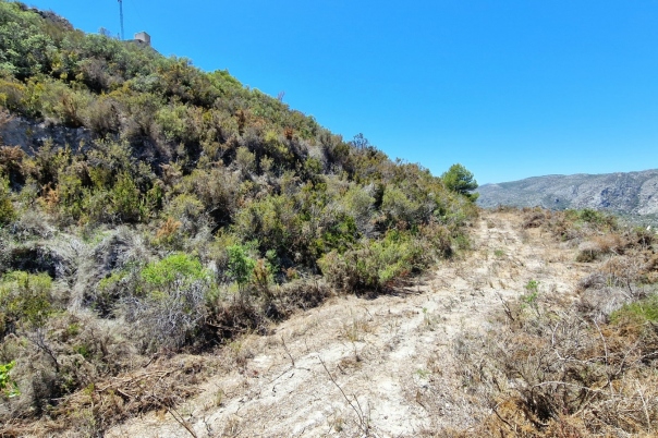 plot in Teulada