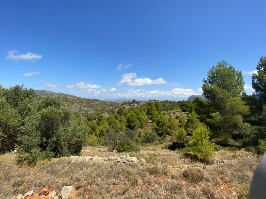 plot in Jalón